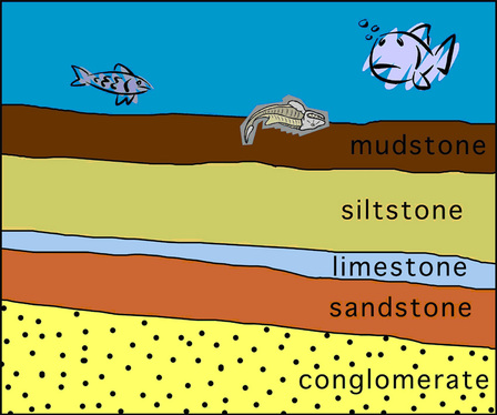 sedimentary rock rocks layer formation speech cycle oldest layers limestone form types made strata sequence layered earth sedimentry school quiz